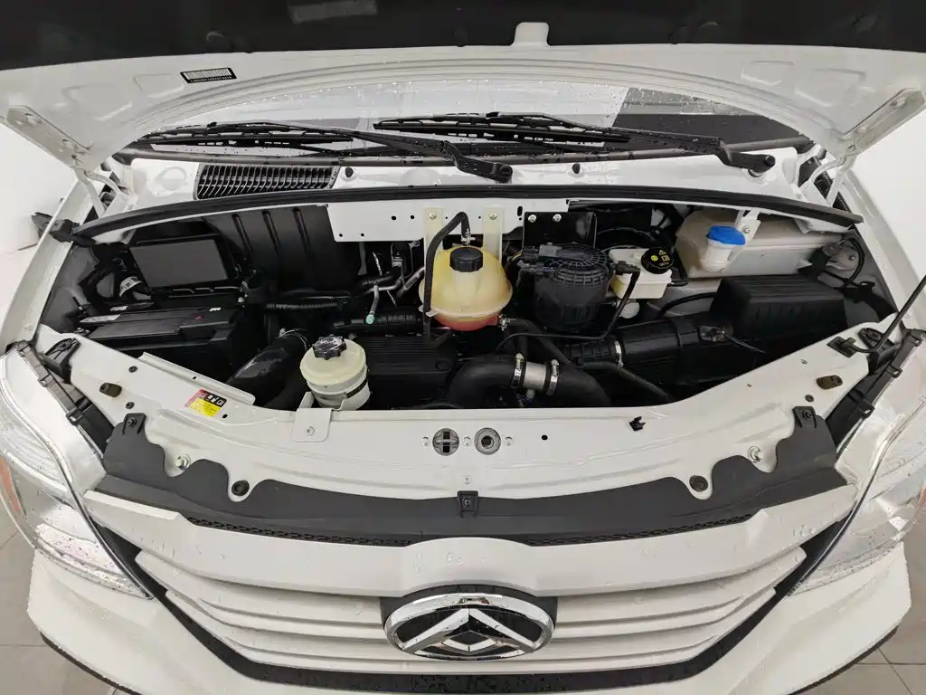 Maxus V80 2025