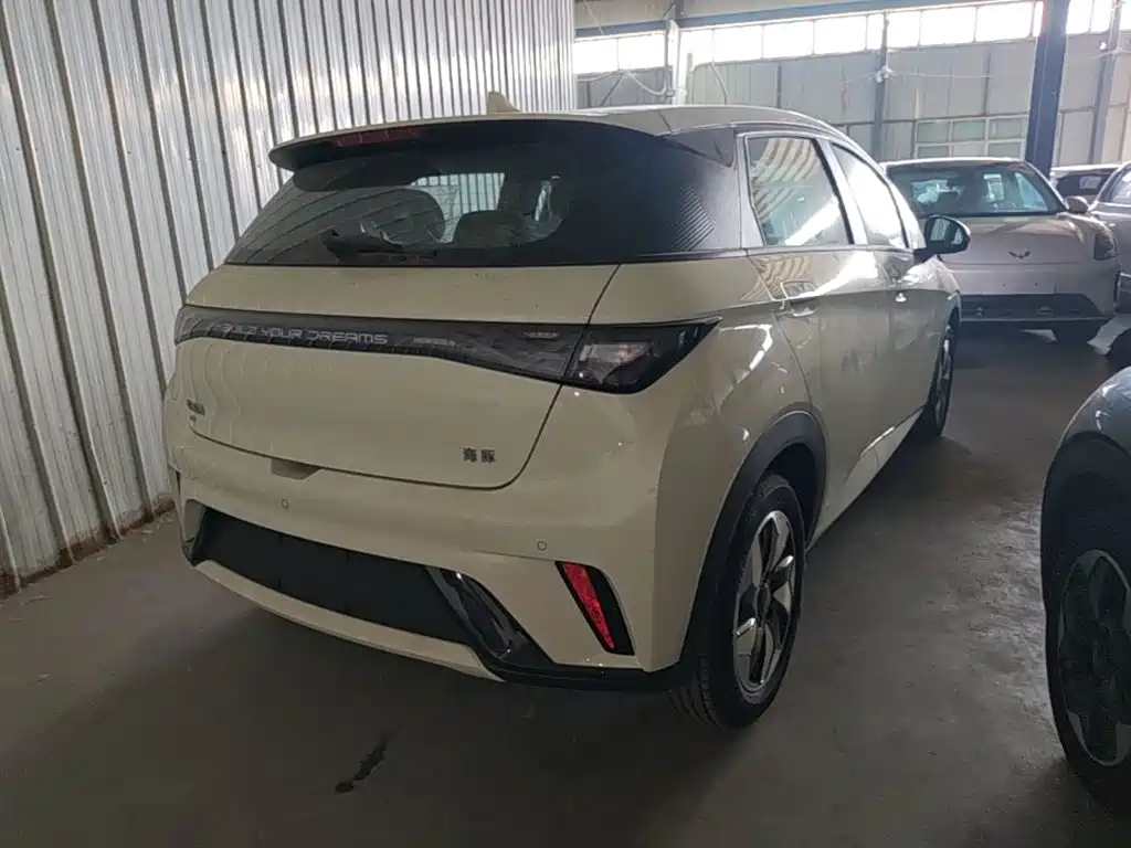 BYD Dolphin 2026