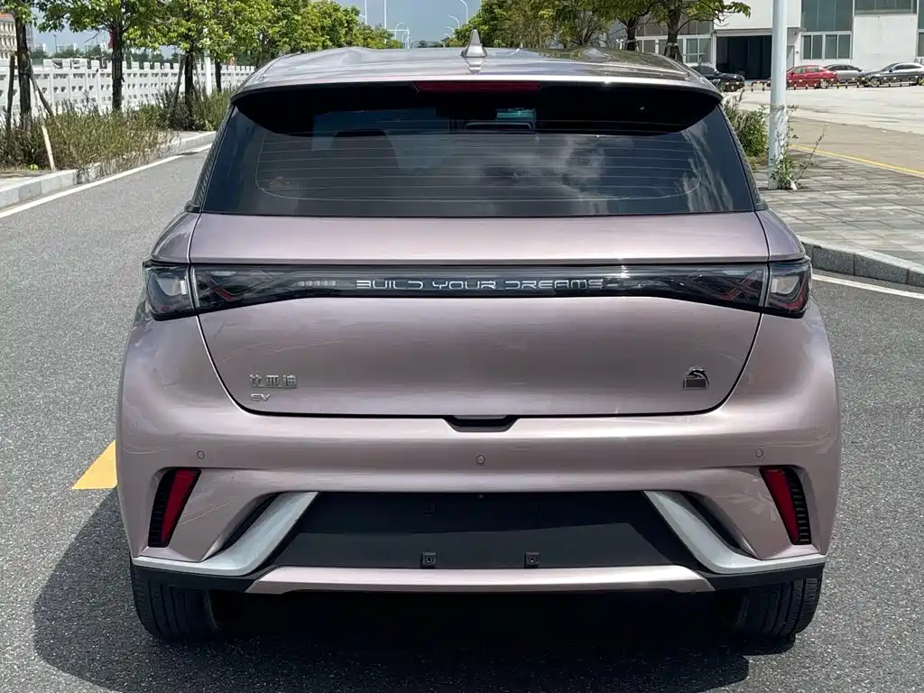 BYD Dolphin 2022