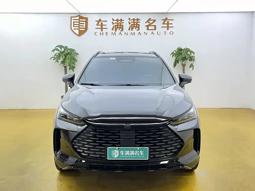 BYD Tang New Energy 2025 — фото 2