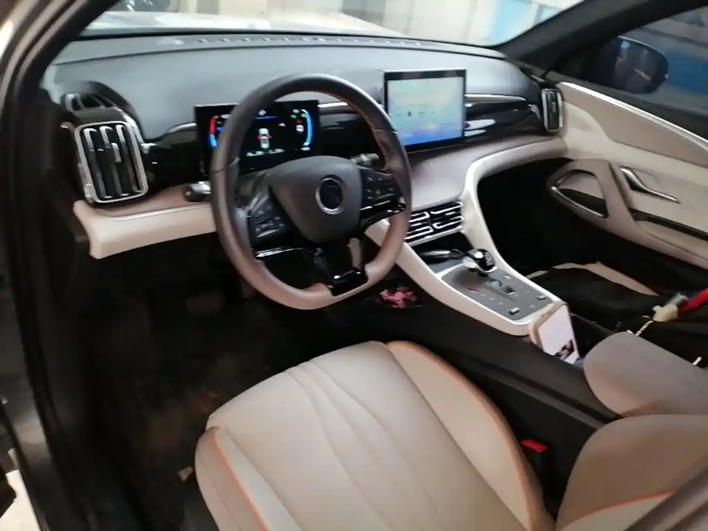 BYD Pro New Energy 2025 — фото 10
