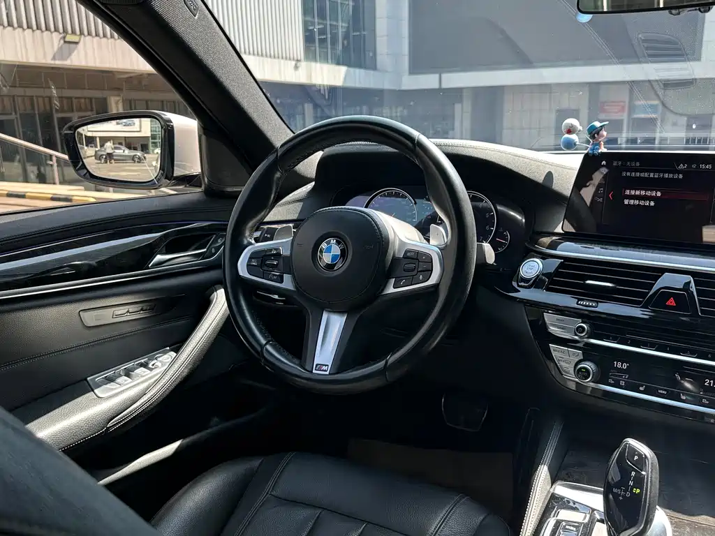 BMW 5 Series 2018 — фото 15