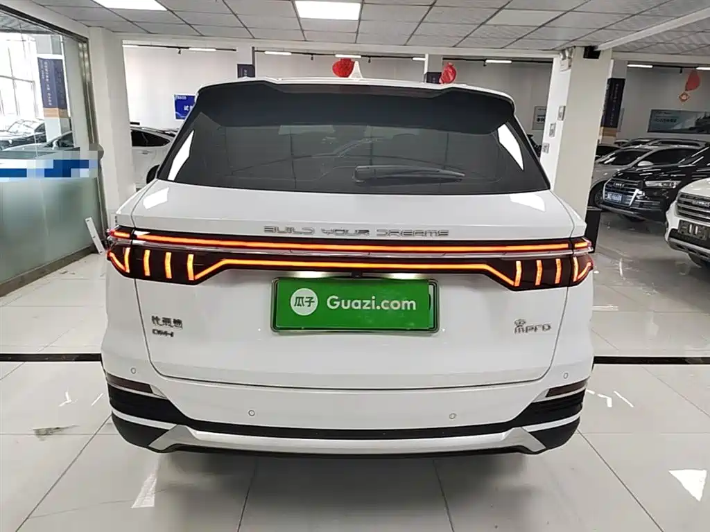 BYD Pro New Energy 2023 — фото 6
