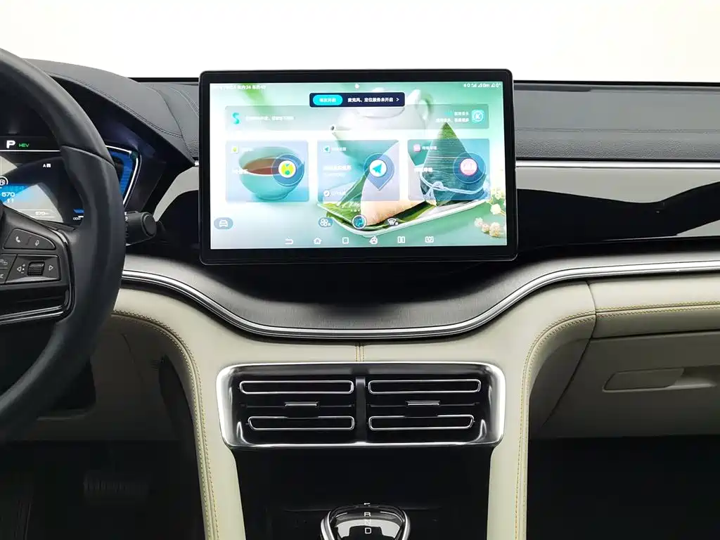 BYD PLUS New Energy 2022 — фото 12