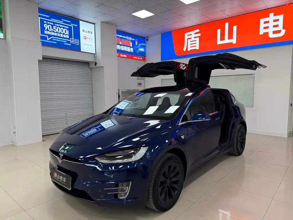 Tesla Model X 2019 — фото 1