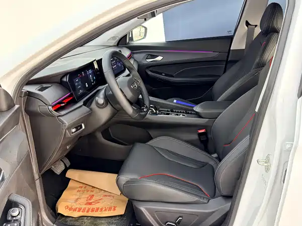 Geely Binrui 2024