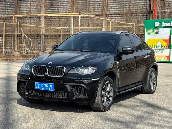 BMW X6 2009