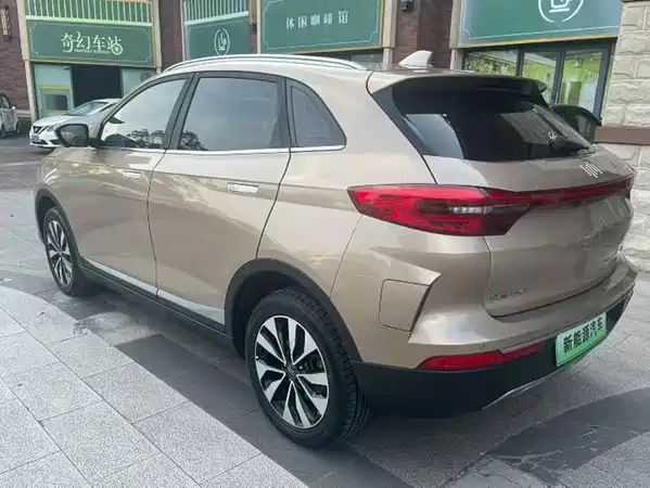 WM Motor EX5 2019