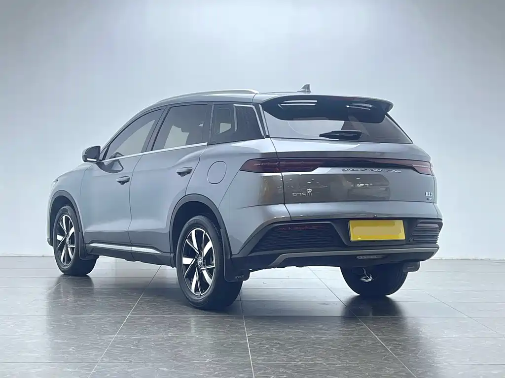 BYD Pro New Energy 2024 — фото 20