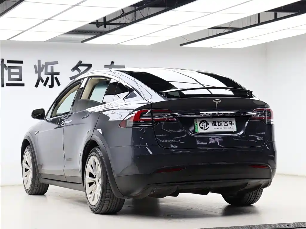 Tesla Model X 2017 — фото 18