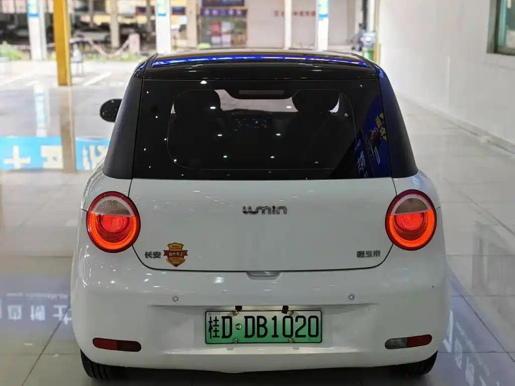 Qiyuan Lumin 2025