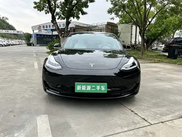 Tesla Model 3 2020