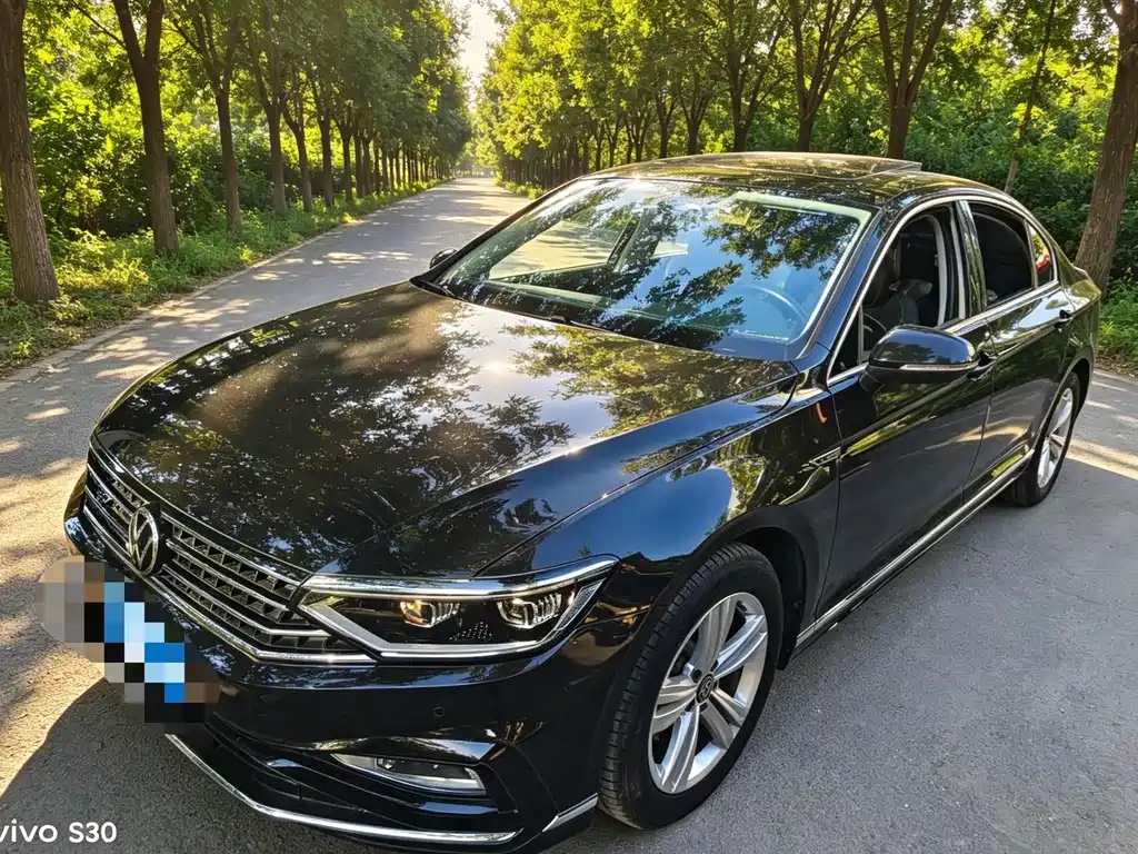 Volkswagen Magotan 2024
