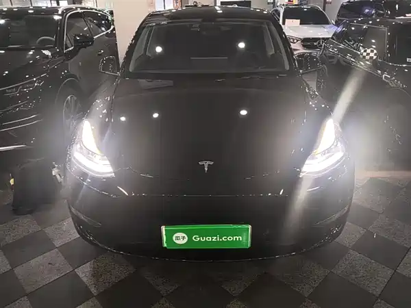 Tesla Model Y 2021