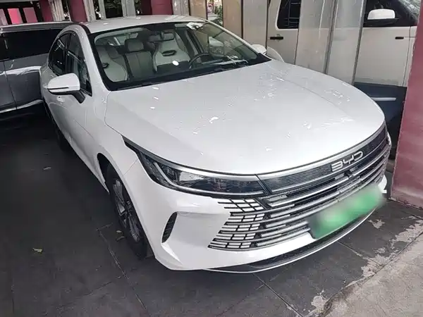BYD Destroyer 05 2024