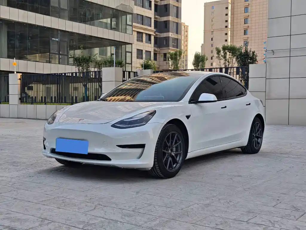 Tesla Model 3 2020 — фото 1