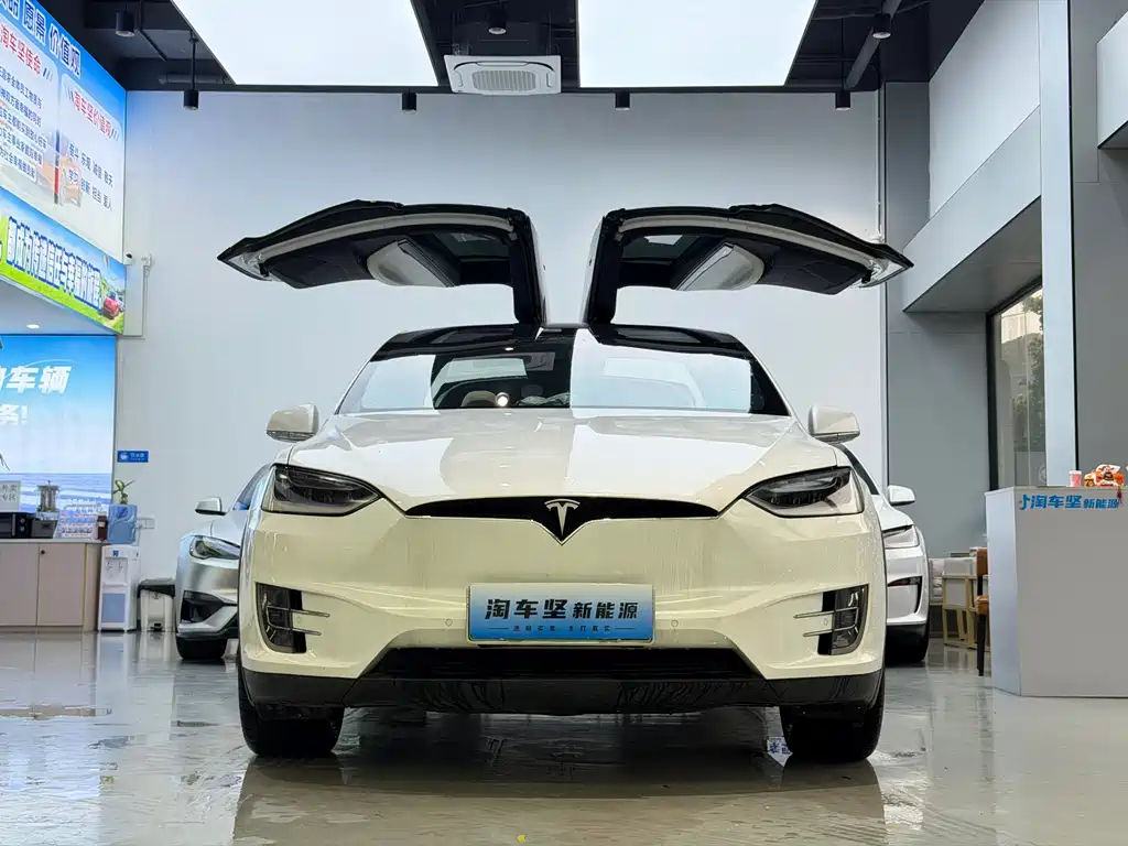 Tesla Model X 2016 — фото 2