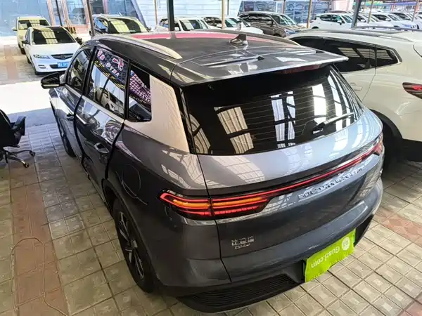 BYD Song Pro New Energy 2024