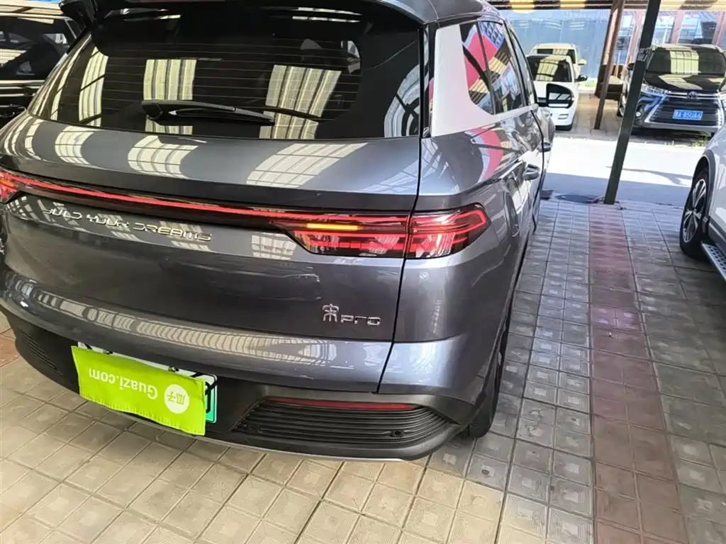 BYD Pro New Energy 2024 — фото 8