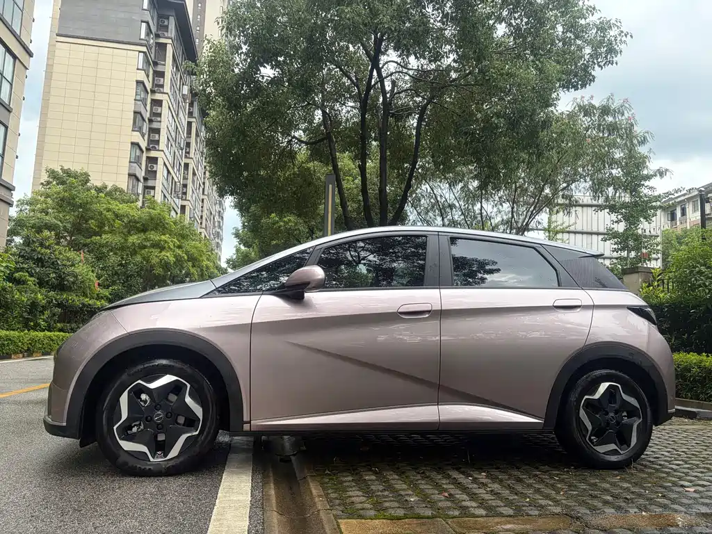 BYD Dolphin 2021