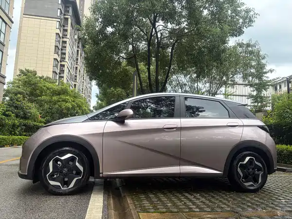 BYD Dolphin 2021
