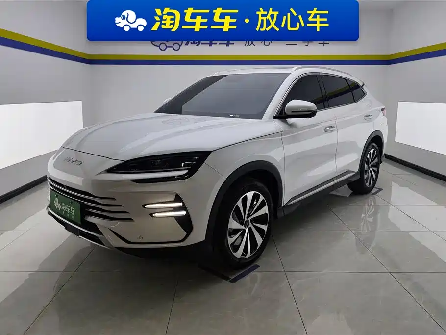 BYD Song PLUS New Energy 2024 — фото 1