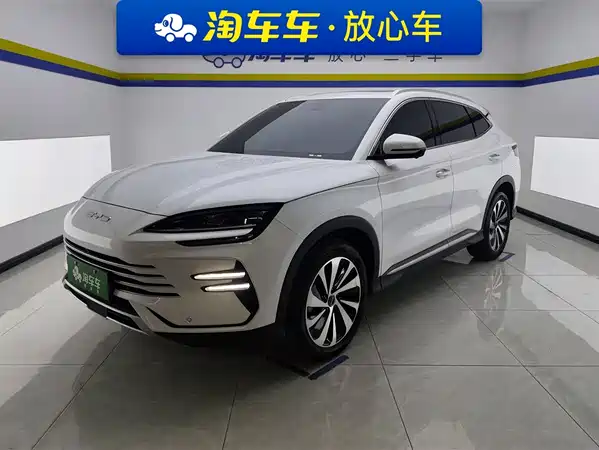 BYD Song PLUS New Energy 2024