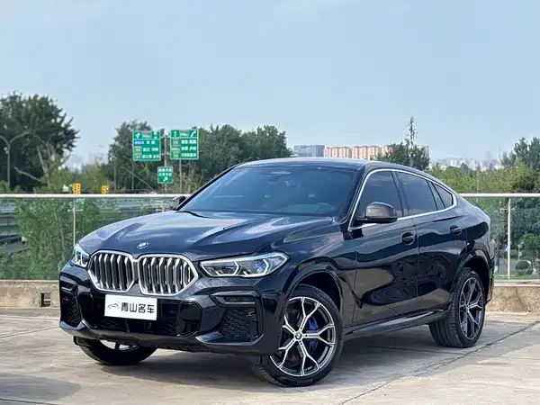 BMW X6 2022