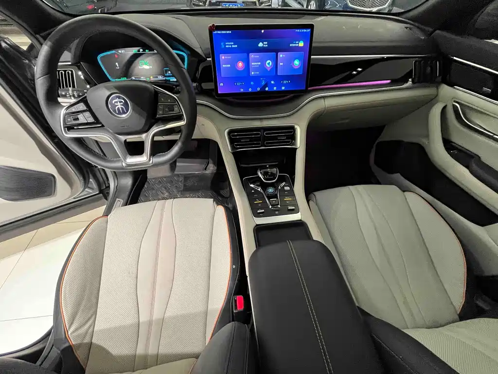 BYD PLUS New Energy 2022 — фото 11