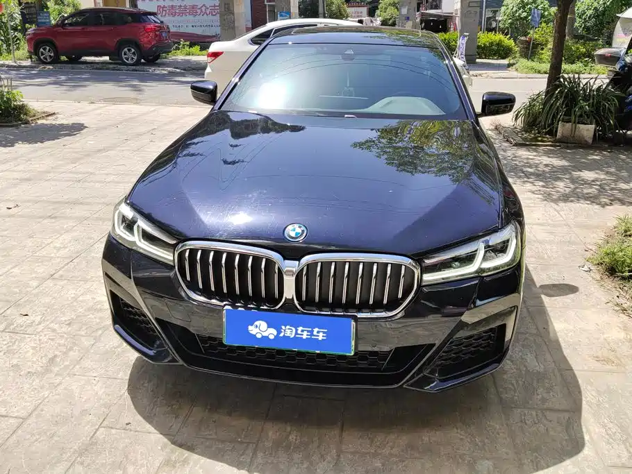 BMW 5 Series New Energy 2022