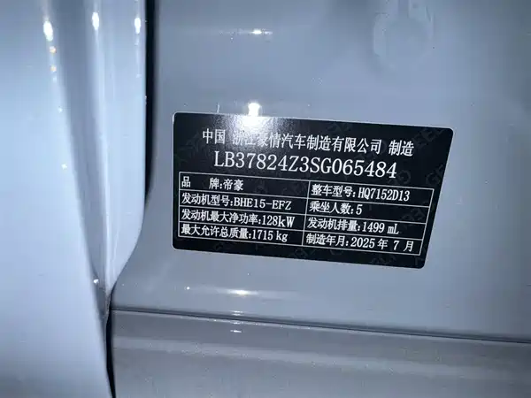 Geely Binrui 2024