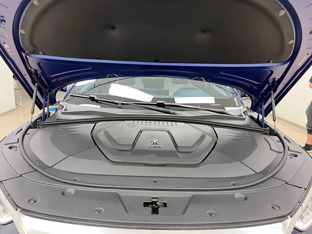 BYD PLUS New Energy 2022 — фото 30