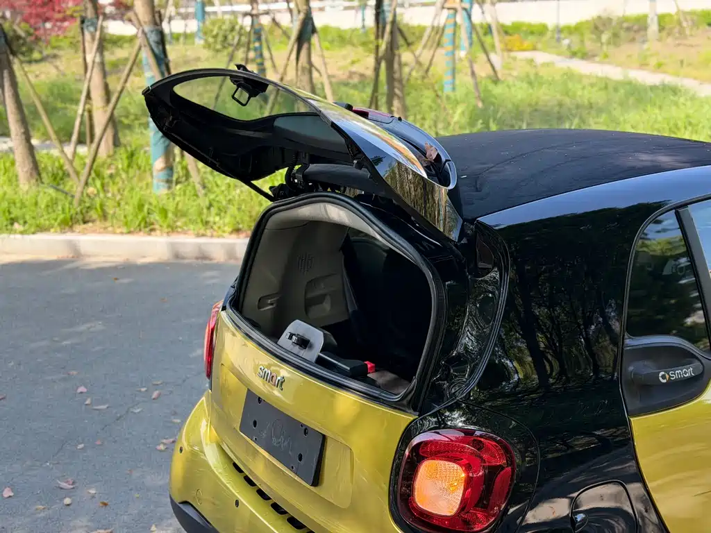 smart Fortwo 2018 — фото 13