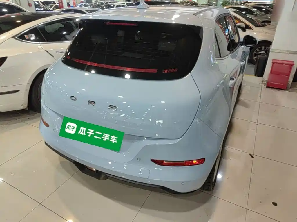 Ora Good Cat 2024