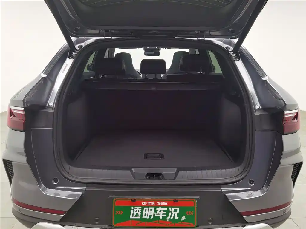 BYD PLUS New Energy 2022 — фото 16