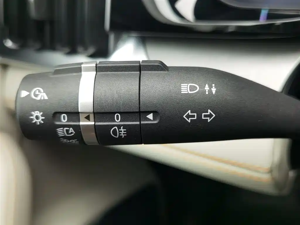 BYD PLUS New Energy 2022 — фото 21