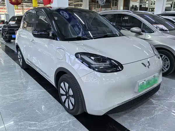 Wuling Bingo 2024