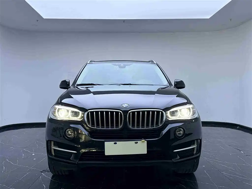 BMW X5 New Energy 2016 — фото 2