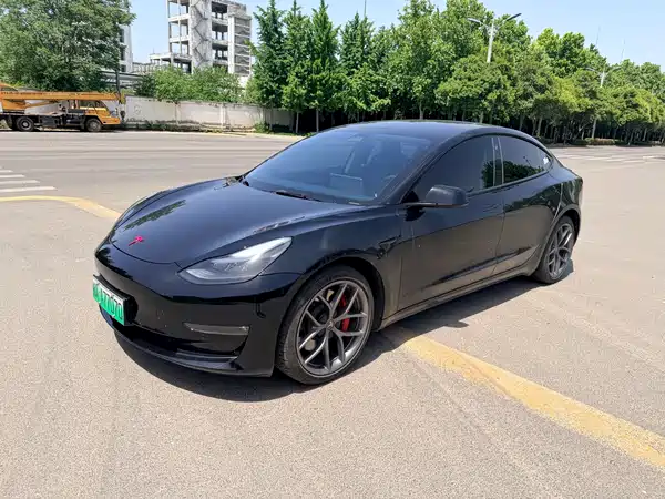Tesla Model 3 2022