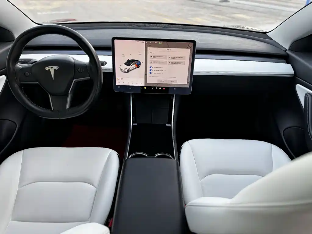Tesla Model 3 2020 — фото 18
