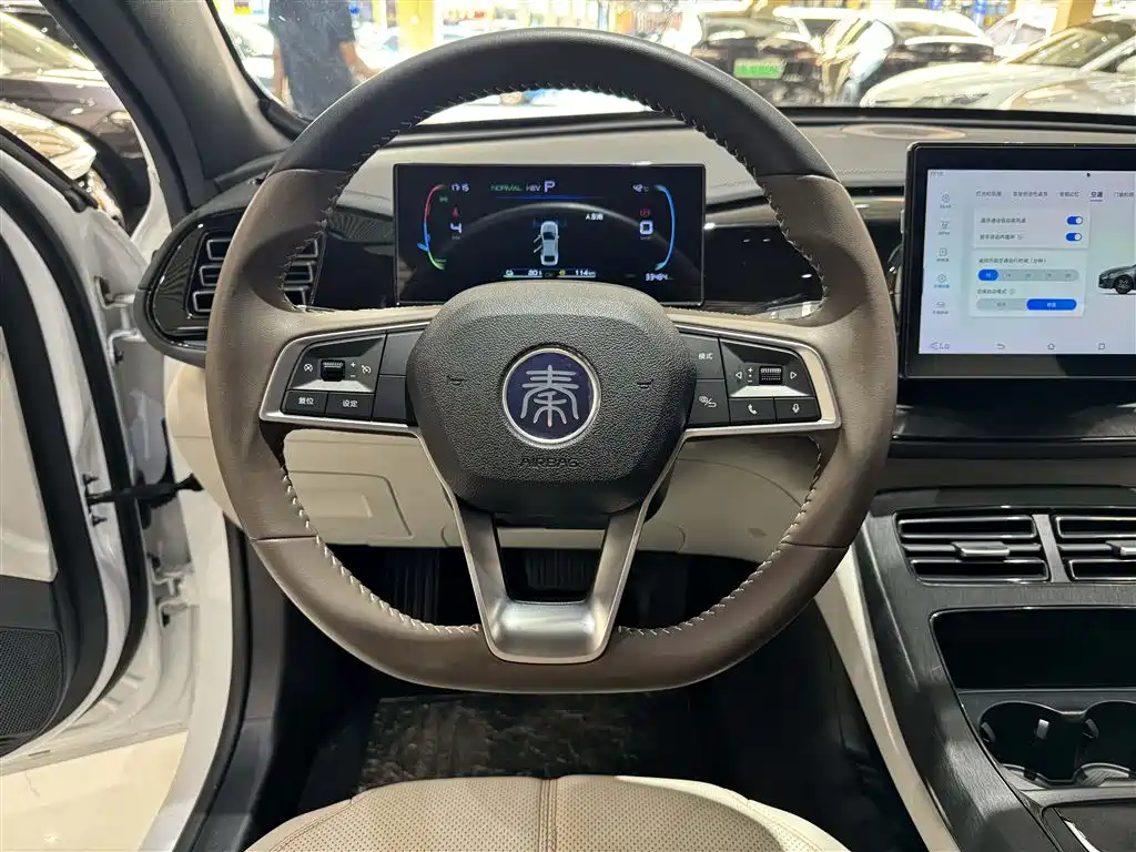 BYD Qin PLUS 2024 — фото 15
