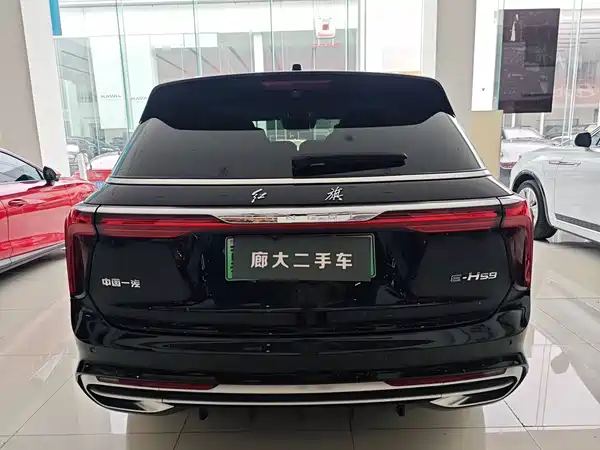 Hongqi E-HS9 2023