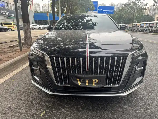 Hongqi H5 2024