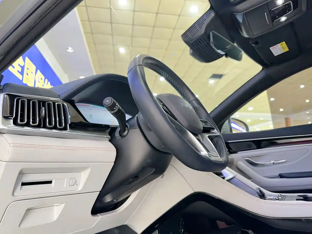 BYD Song PLUS New Energy 2023 — фото 10