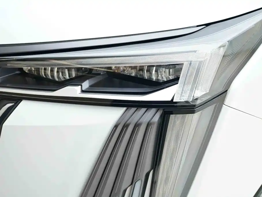 GAC Trumpchi M8 2024 — фото 14