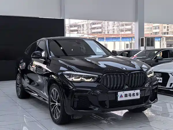 BMW X6 2022