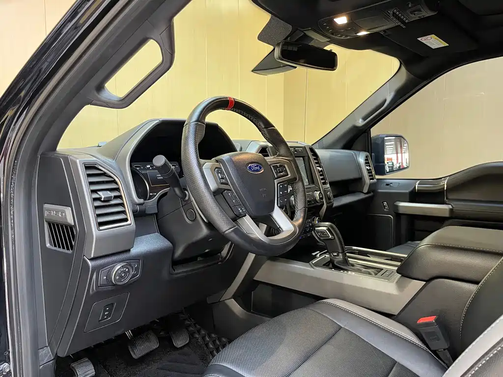Ford F-150 Raptor 2019 — фото 10