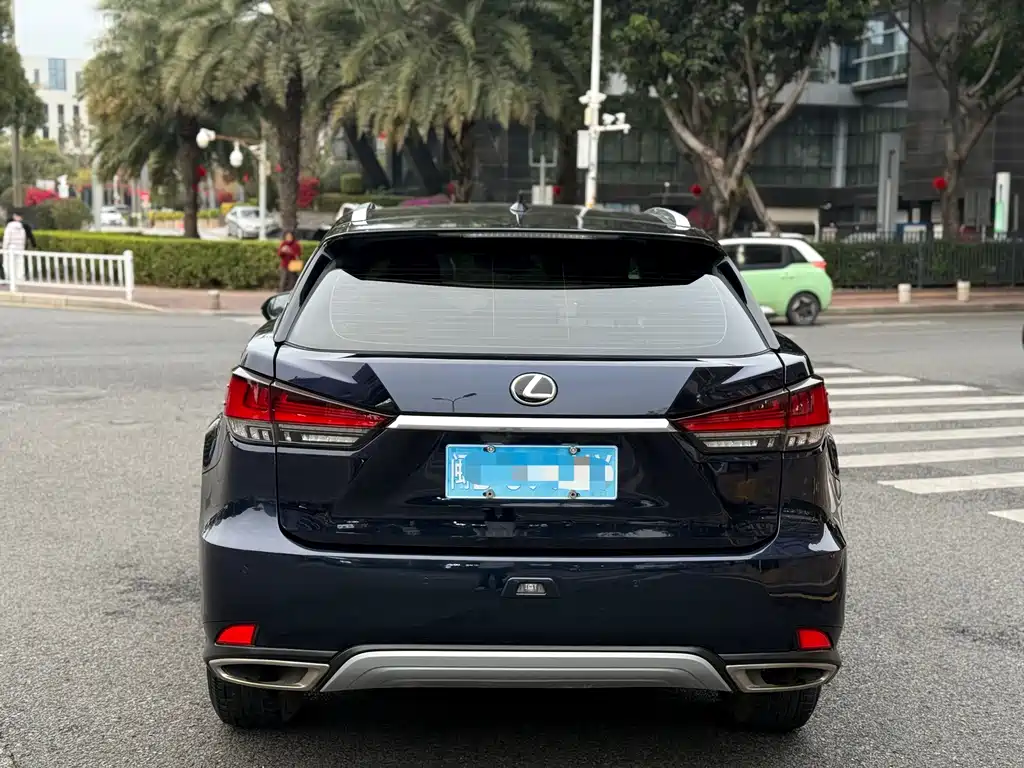 Lexus RX 2020 — фото 8