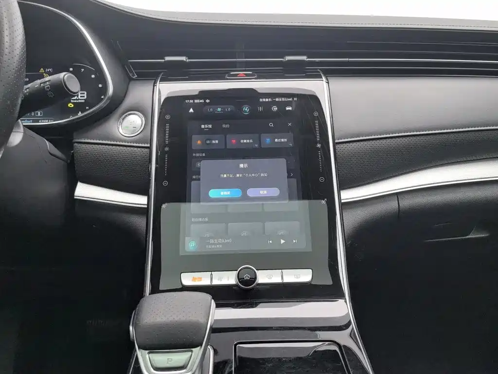 Roewe RX5 MAX 2021 — фото 12