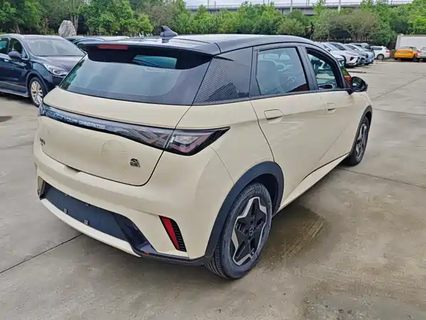 BYD Dolphin 2022